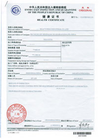 Health Certificate